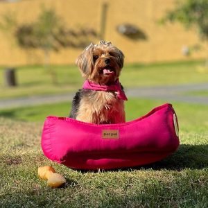 Caminha PetPuf Convencional Lisa