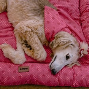 Colchonete PetPuf Convencional Estampado