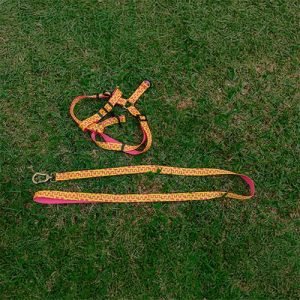 Conjunto Guia e Peitoral Comfort Print Puf Pink com Amarelo