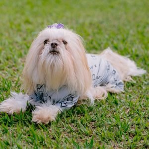 Macacão PrintPuf Preto com Cinza