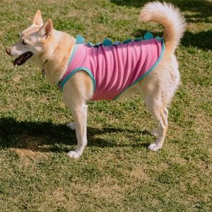 Camiseta Malha Sem Manga Rosa e Azul Plush