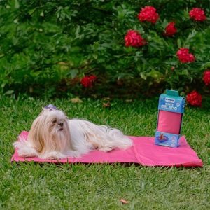 Tapete Pet Gelado