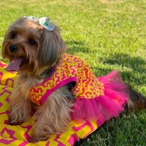 Vestido PrintPuf Pink com Amarelo